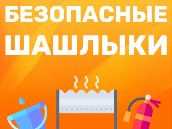 Безопасные шашлыки.